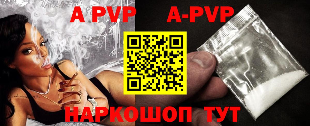 Альфа ПВП СК КРИС Сальск